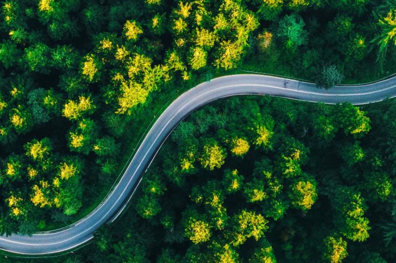 Vista aérea de uma estrada sem carros rodeada por árvores